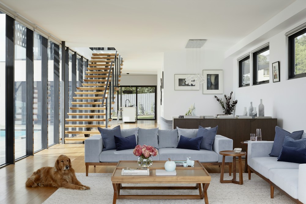 Interior residencial ilustrativo